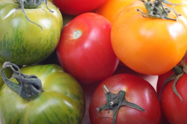 Castas de tomate vermelho verde e amarelo — Fotografia de Stock