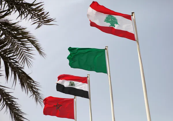 Arab league flags — Stock Photo, Image