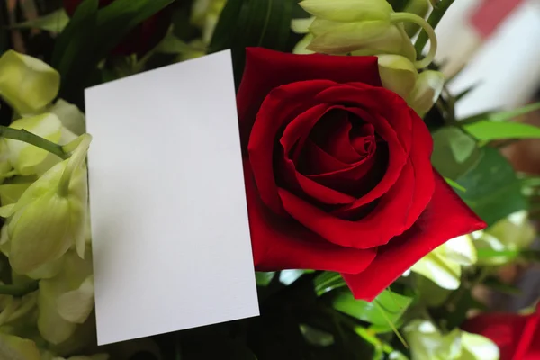Rose rosse, orchidee e una carta bianca — Foto Stock