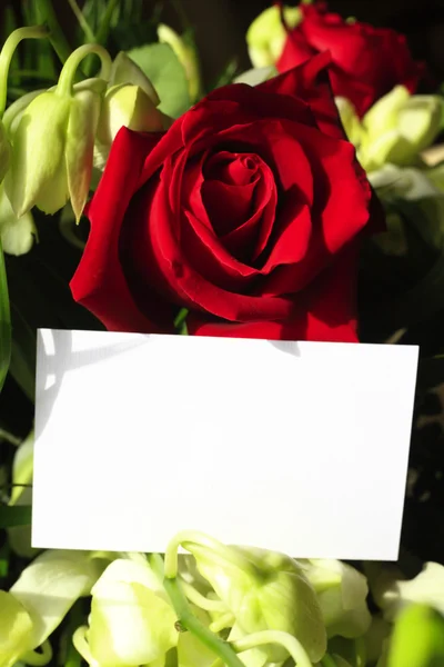Rose rosse, orchidee e una carta bianca — Foto Stock
