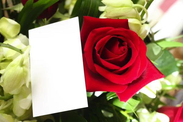 Красные розы, орхидеи и чистая карточка — стоковое фото