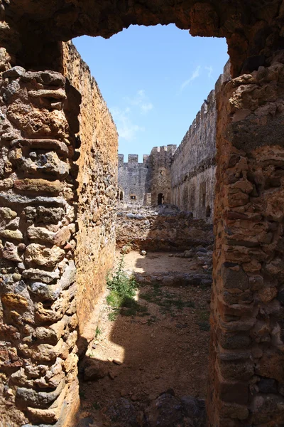 Παπαρούνες στο κάστρο ερείπια — Φωτογραφία Αρχείου
