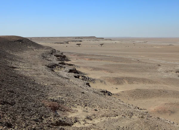 Qatarese woestijn — Stockfoto