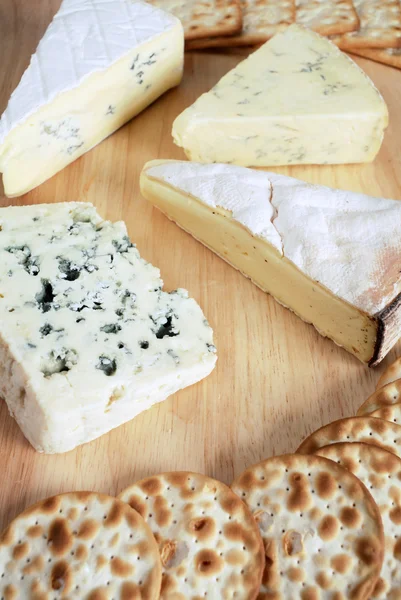 Vier Gourmet-Käse — Stockfoto