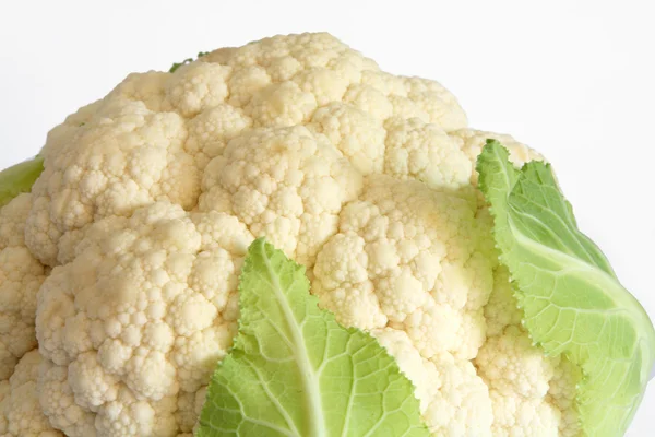 Cauliflower close-up — Stock Photo, Image