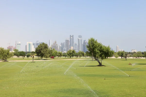 La ecologización del desierto en Doha — Foto de Stock