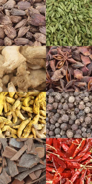 Curry krydda komposit — Stockfoto