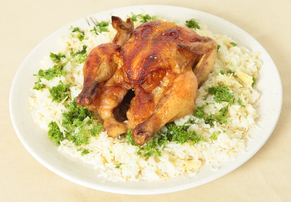 stock image Roast chicken and rice high angle