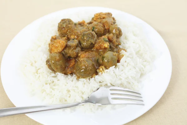 Fungo al curry e riso — Foto Stock