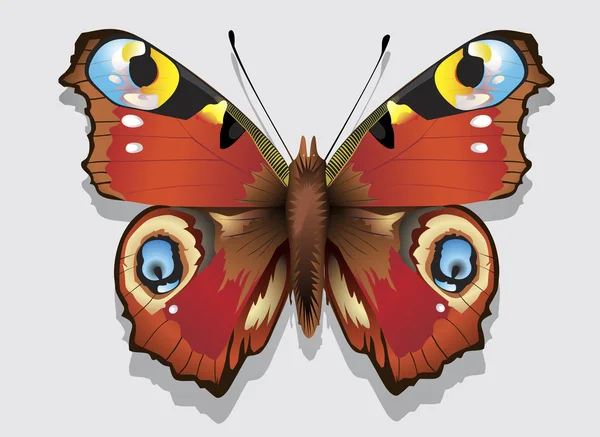 Красочная векторная бабочка. Векторная иллюстрация . — стоковый вектор