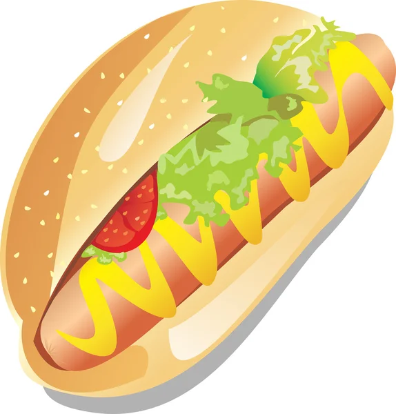 Hot dog met mosterd en een tomaat — Stockvector