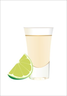 Tequila with lime and salt on wite background. Vector clipart