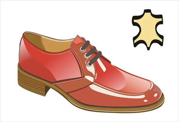 Men's shoes — Stock Vector
