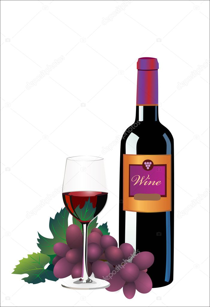 Ripe grapes, red wine glass and bottle of wine isolated on white, vector