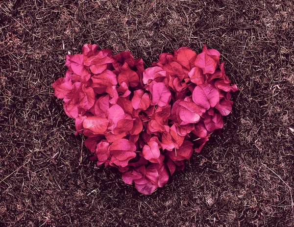 stock image Heart of pink flowers