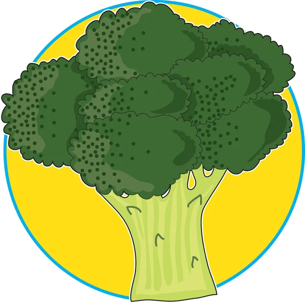 Brócoli Gráfico — Vector de stock