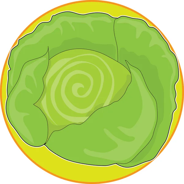 Cabbage Graphic — Stock Vector