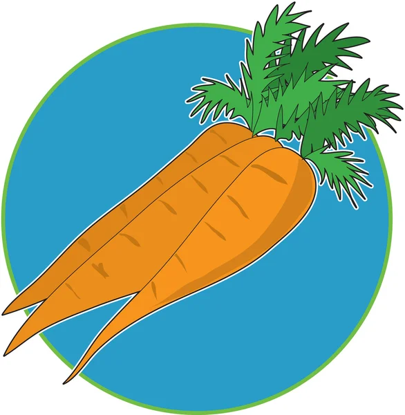 Karottengrafik — Stockvektor