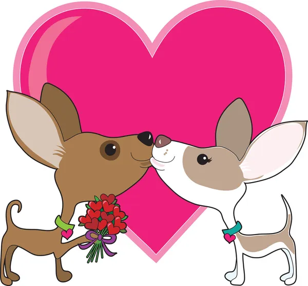 Chihuahua kärlek — Stock vektor