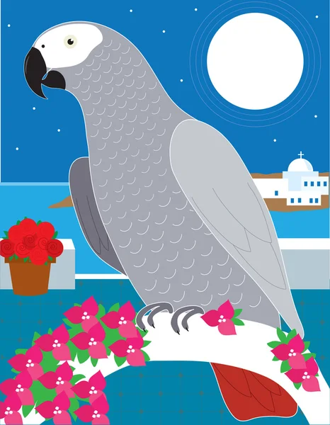A Parrot in Paradise — Stock Vector