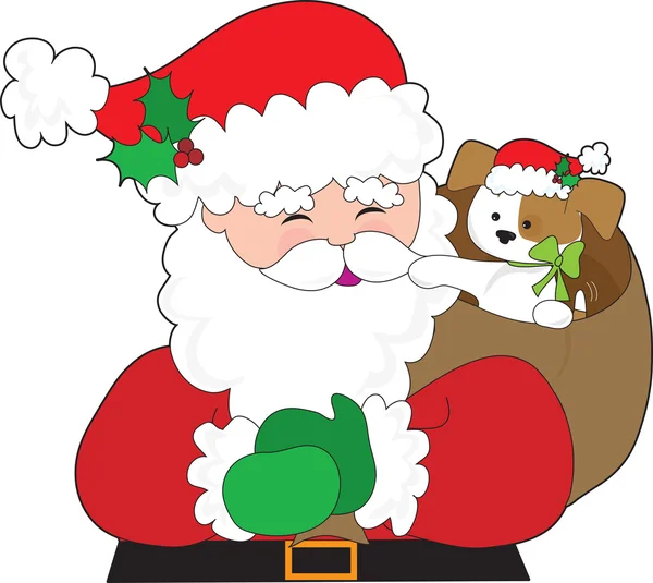 Weihnachtsmann und Welpengeschenk — Stockvektor