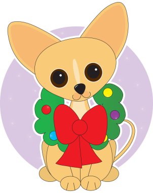 Chihuahua çelenk