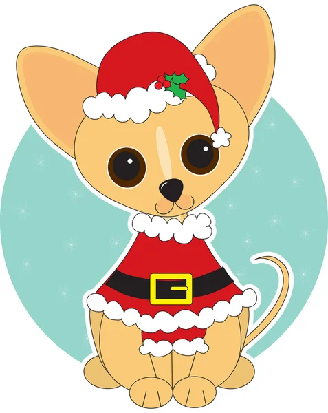 Chihuahua-Weihnachtsmann — Stockvektor