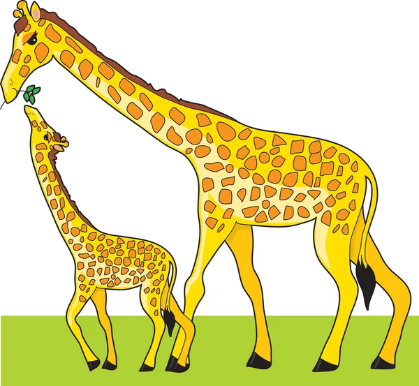 Girafa e bebê — Vetor de Stock