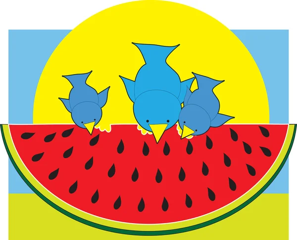 Melon d'eau oiseaux bleus — Image vectorielle