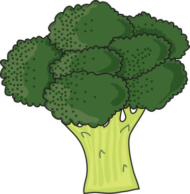 Brocolli clipart