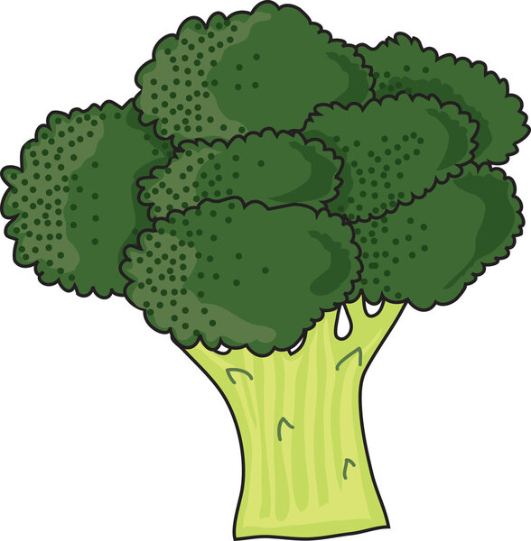 Brocolli