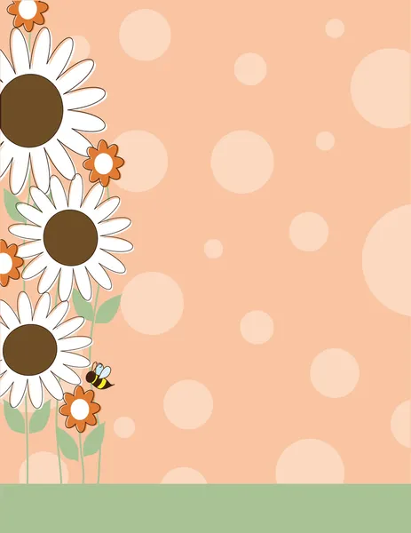 Gänseblümchen-Blume — Stockvektor