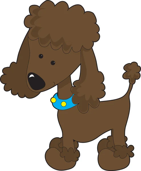 贵宾犬棕色 — 图库矢量图片