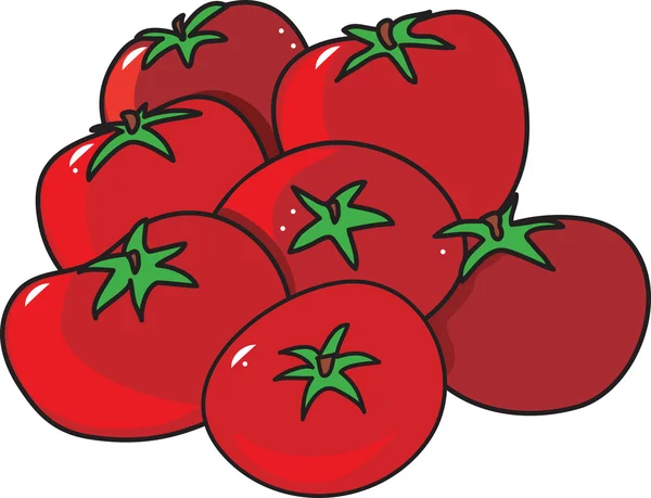 Tomatoes — Stock Vector