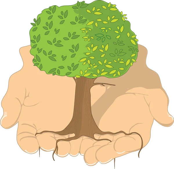 Drzewo w ręce — Wektor stockowy