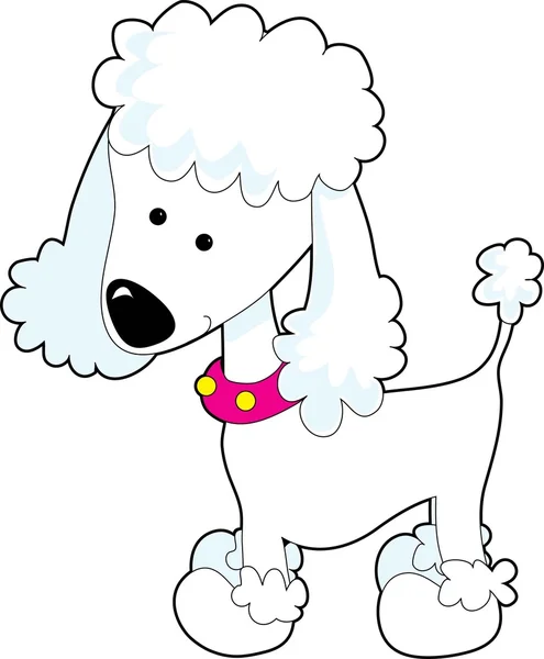 Poodle — Stock Vector
