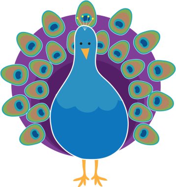 Peacock clipart