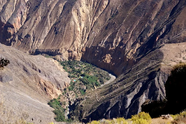 Canhão de Colca, Peru — Fotografia de Stock