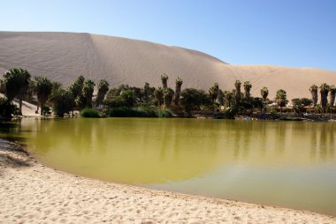 Oasis of Huacachina, Peru clipart