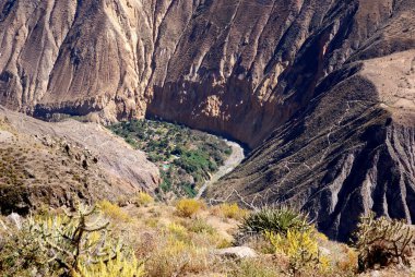 Kolka kanyonu, Peru