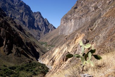 Kolka kanyonu, Peru