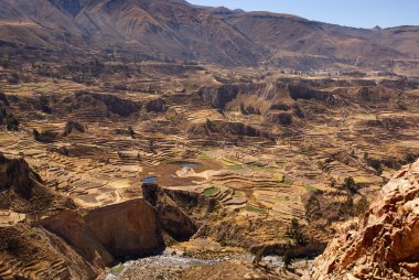 alanları colca canion, peru