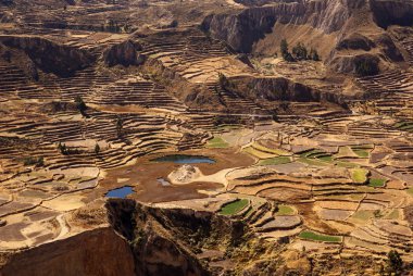 alanları colca canion, peru