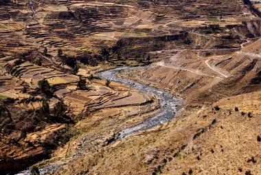 alanları colca canion, peru