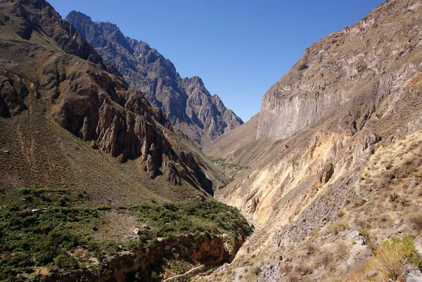 Colca Canion, Peru — 图库照片