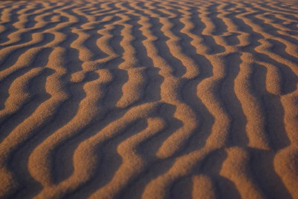 stock image Gobi desert, Mongolia