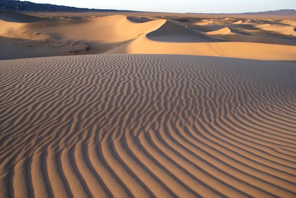 モンゴル国ゴビ砂漠 — ストック写真