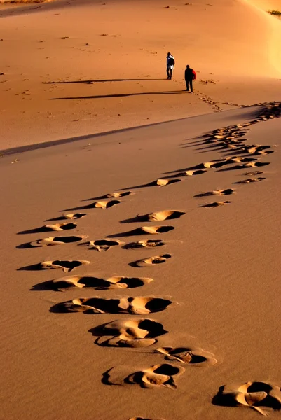 Пустелі Гобі, Монголії — стокове фото