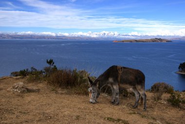 Isla del Sol, Titicaca Gölü, Bolivya