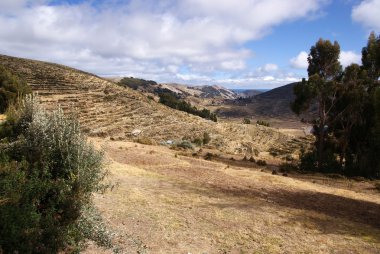 Isla del Sol, Titicaca Gölü, Bolivya